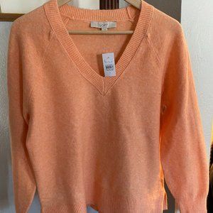 Loft V-neck sweater
